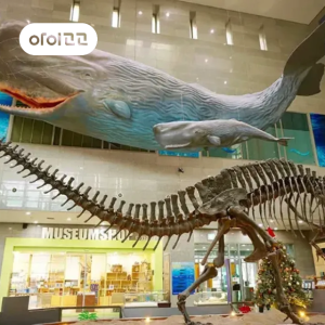 [서대문자연사박물관] 태초의 생명과 대자연의 역사 이야기 | 교과연계 체험 by 교과타파