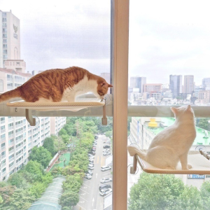 오르펫 고양이해먹 창문해먹 창틀 침대 캣타워 캣워크