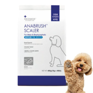 (랜덤사은품증정) 메디웍스 아나브러쉬 강아지 치석제거 덴탈껌 일반두상용, 10g, 40개