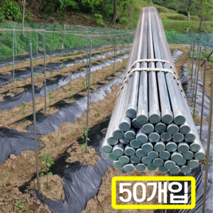 테라 고추지지대 2m 스틸 고추말뚝 1200mm 50개입