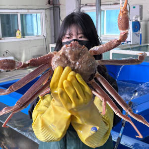 킹콩농수산 러시아 활대게 특A급수율보장 1KG
