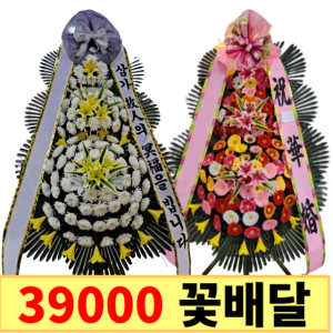 태령동화환 북구꽃배달 꽃집 근조 축하화환 화분