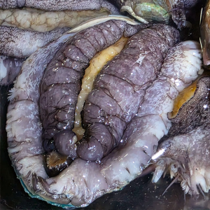 산지직송 완도전복 산소포장 보양식 이바지 선물