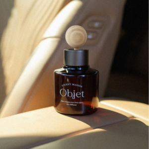 1+1 에이센트 오브제 차량용디퓨저