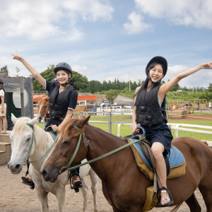 목장카페 드르쿰다/제주 카트 승마 체험