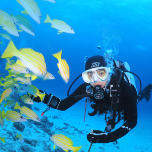 스킨스쿠버 다이빙 강습 입문 오픈워터 어드벤스 자격증 서울 잠실 경기