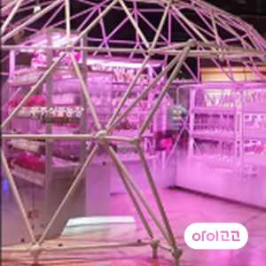 [국립과천과학관] 미래 과학 탐구 초등 어린이 교과연계 체험 학습 도슨트 해설 겨울방학 수업 by 스쿨김영사