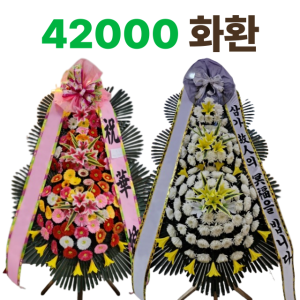 남동화환