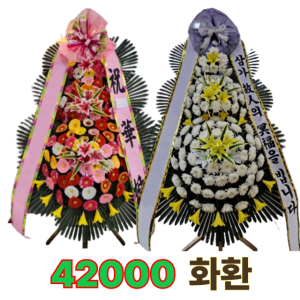 창원시화환