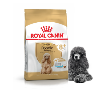로얄캐닌 강아지사료 푸들 어덜트 8+(8세)
