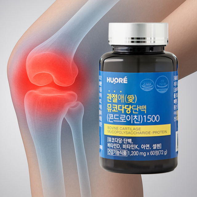 콘드로이친1500 특별한약방