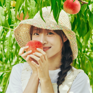 원주 치악산 복숭아 꿀당도 3kg 4kg 황도 백도 딱딱이