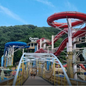 [홍천] 홍천 오션월드할인 비발디파크 워터파크입장권 이지패스 구명조끼 포함 당일사용가능