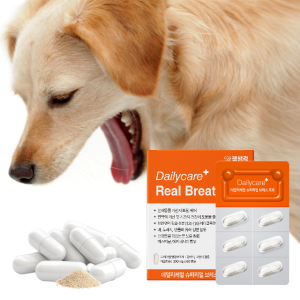 강아지 애견 기관지염 예방 기관지영양제 협착증