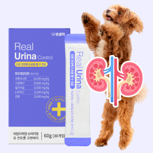 펫생각 강아지 신부전 비뇨기 질환 염증 영양제