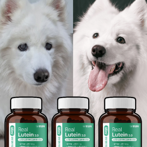 펫생각 강아지 백내장 녹내장 시력보호 영양제