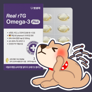 펫생각 노견 노령견 오메가3 면역력 영양제