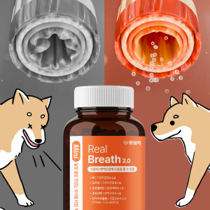 펫생각 강아지기침약 애견기침약 반려견기침약