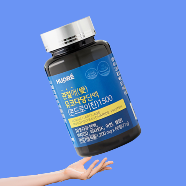 콘드로이친