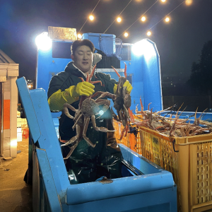 킹콩농수산 선주직송 러시아 활대게 8~900g