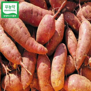 25년수확 무농약 해남꿀밤고구마 호박고구마