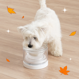 웰리 유리수반 강아지수반 IoT 강아지물그릇