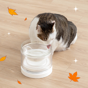 웰리 유리수반 고양이수반 IoT 고양이물그릇