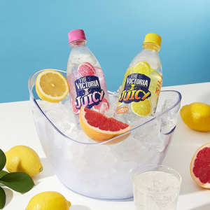 더 빅토리아 탄산음료 쥬시 레몬 500mL 10개+더 빅토리아 탄산음료 자몽 500mL 10개 외 2종