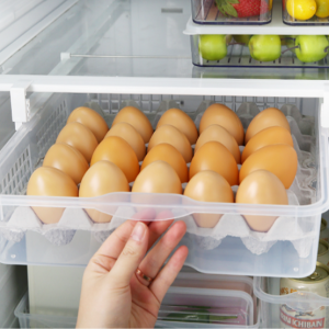 실리쿡 계란통 계란트레이 케이스정리함 30구