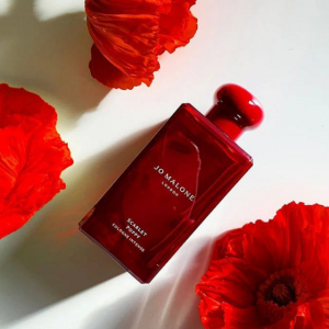 조말론 스칼렛 포피 코롱 인텐스 100ml 향수