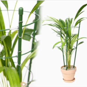 데팡스 오이 토마토 넝쿨지지대