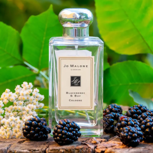 조말론 블랙베리 앤 베이 코롱 100ml 향수