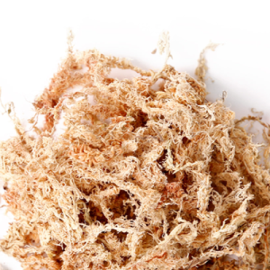 데팡스 천연 100% 수태 나무이끼