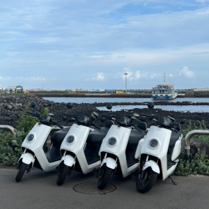 천진낭만 우도전기차 우도스쿠터 오전권 종일권 대여