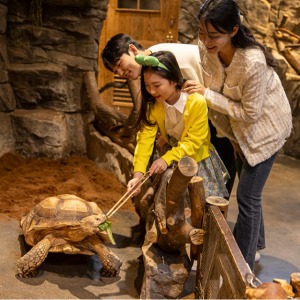 [서울]주렁주렁 실내 동물원 영등포점