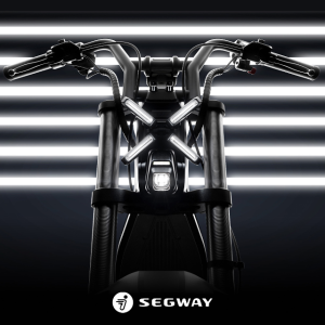 세그웨이 자이버 XYBER 750W 48V