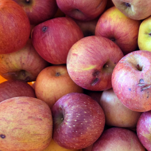 (팔공산농원) 사과(부사) 10kg 흠과