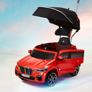 파파야나인 8세대 BMW 푸쉬카 아기자동차