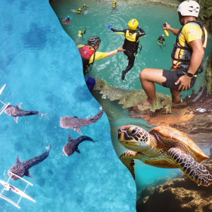 세친구투어 [오캐모팩] 세부 고래상어 투말록폭포 가와산캐녀닝 모알보알을 하루만에