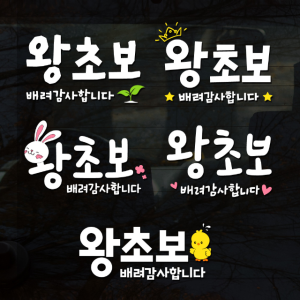 초보운전 왕초보 스티커 겸손한 배려감사합니다 초보 스티커