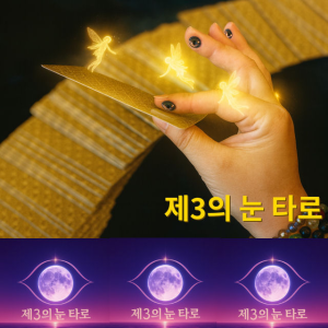 전화타로 카톡 직장운 진로운 사업운 온라인타로