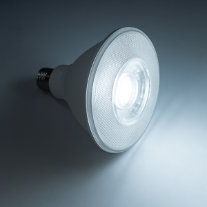 PAR38 방수 야외 캠핑 조명 20W