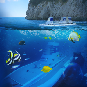 제주 서귀포잠수함 + 낙타트래킹& 족욕체험& 조안베어뮤지엄 / 제주 여행 이색체험 관광지