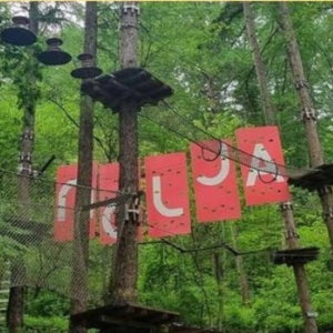 [경기 동두천] 체험형 숲 테마파크 놀자숲 이용권 물놀이장오픈 (실내/외 초대형 어드벤처 파크)