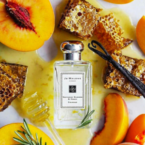 조말론 넥타린 블로썸 앤 허니 코롱 100ml 니치향수