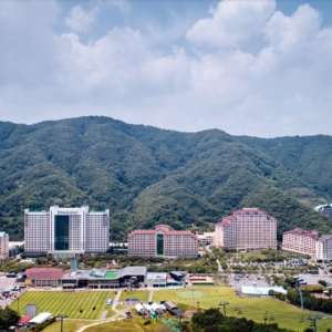 소노벨 비발디파크 B C 리조트 특가