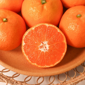 제주도 귤  서귀포귤 싱싱한맛