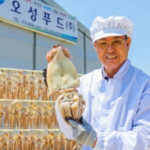 동해안 영덕 반건조오징어 맥반석 피데기 5마리 파품 오동통 파지 10미