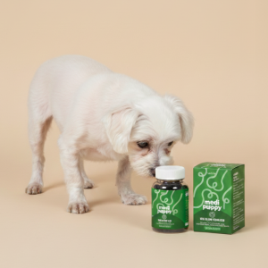 메디퍼피 리포좀 근육 영양제 글루코사민 노령견 노견 관절 다리떨림 도움 90g, 1개