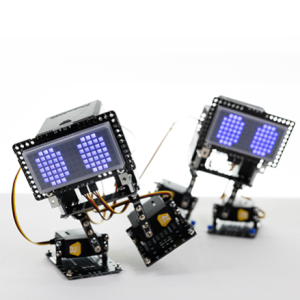 [DIYGO : AI 이족보행 로봇 워커] 인공지능 로봇